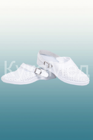 ���� �������