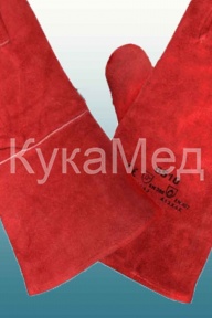 ����� �������� ��������� ���������,����������,���� �������.���� 12