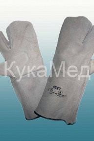 ����� �������� ��������� ���������